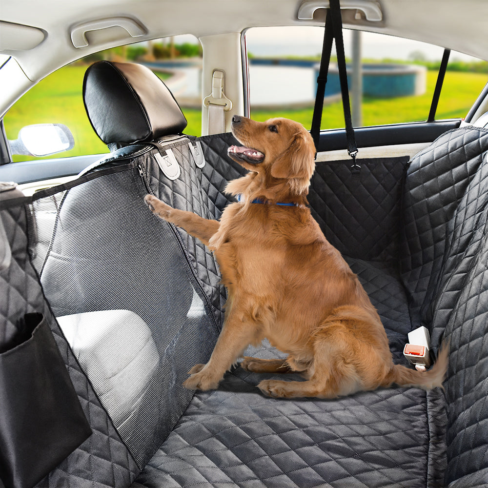 Auto vriendelijke huisdierbeschermingshoes in een auto met bruine hond op achterbank.