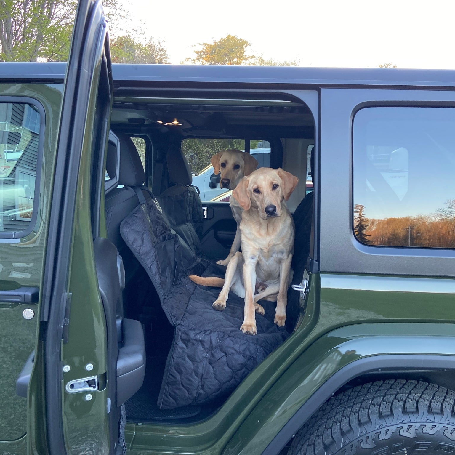 Twee honden op de achterbank van groene jeep zittend op Auto vriendelijke huisdierhoes.