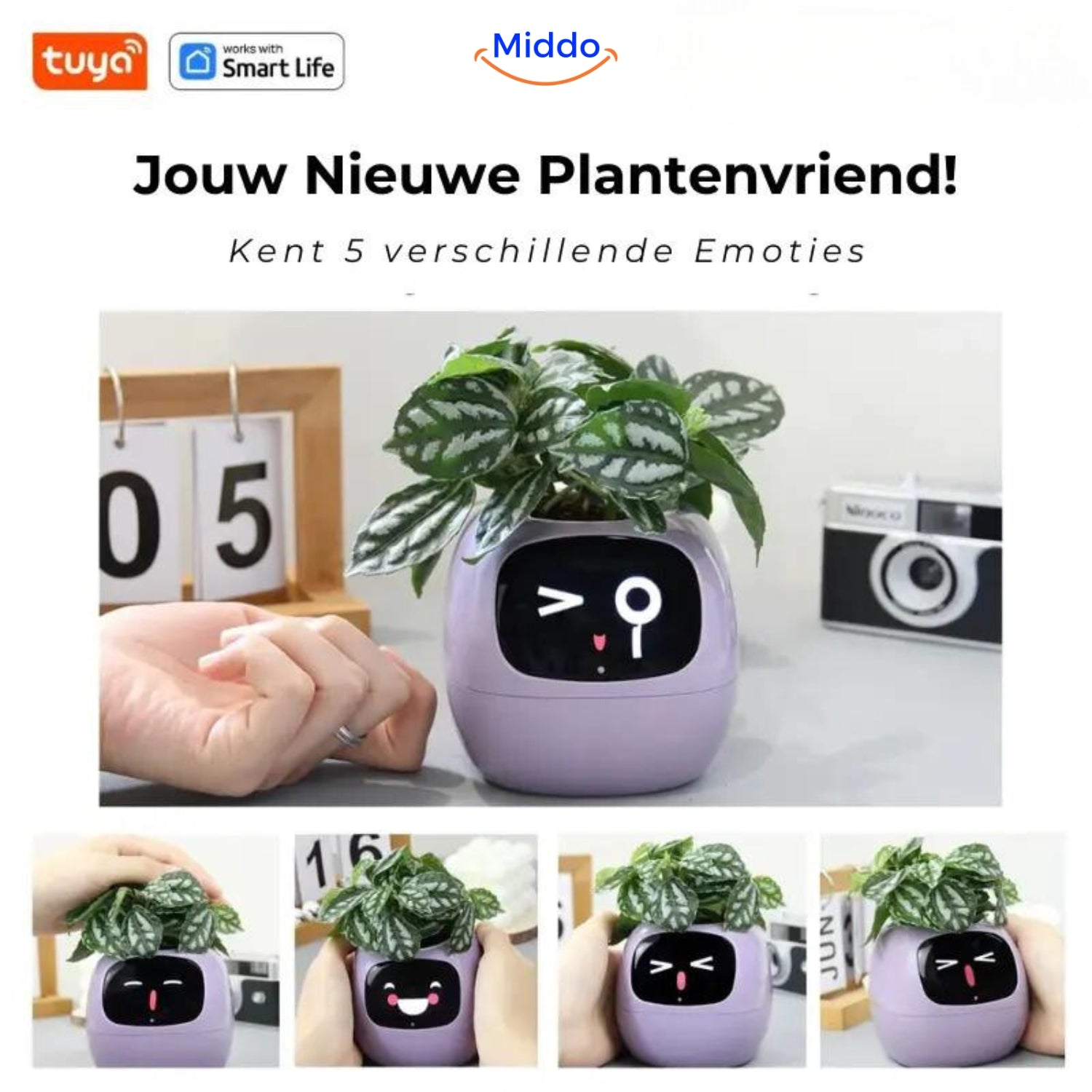 Foto van alle emoticons van Happy Ivy