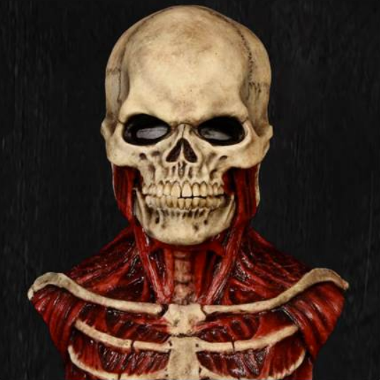 Anatomisch nauwkeurig skeletkostuum met gedetailleerde spieren