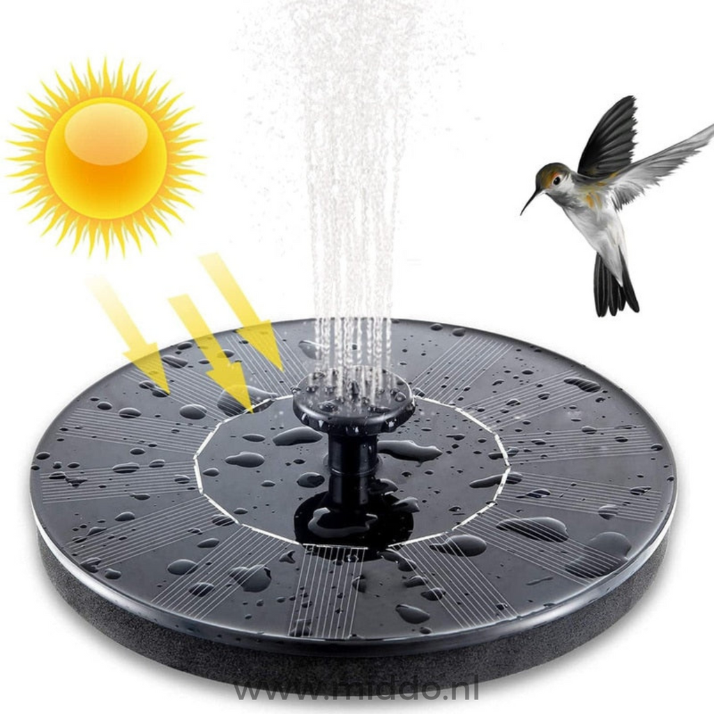 Detail van een zwarte fontein met zon pictogram en kolibrie