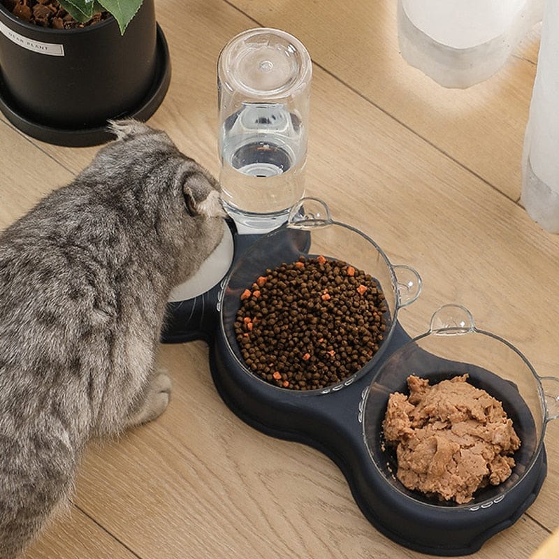 Kat drinkt water naast kommen met droogvoer en natvoer.
