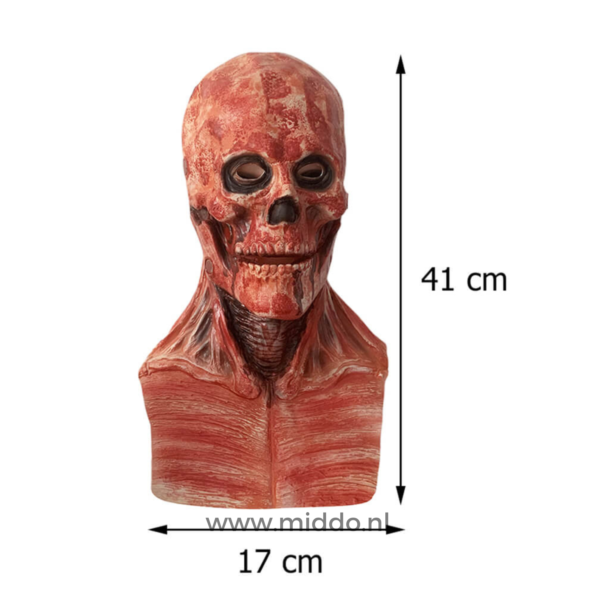 Ultra realistisch peel off Halloween masker met afmetingen van 41 cm hoog en 17 cm breed.