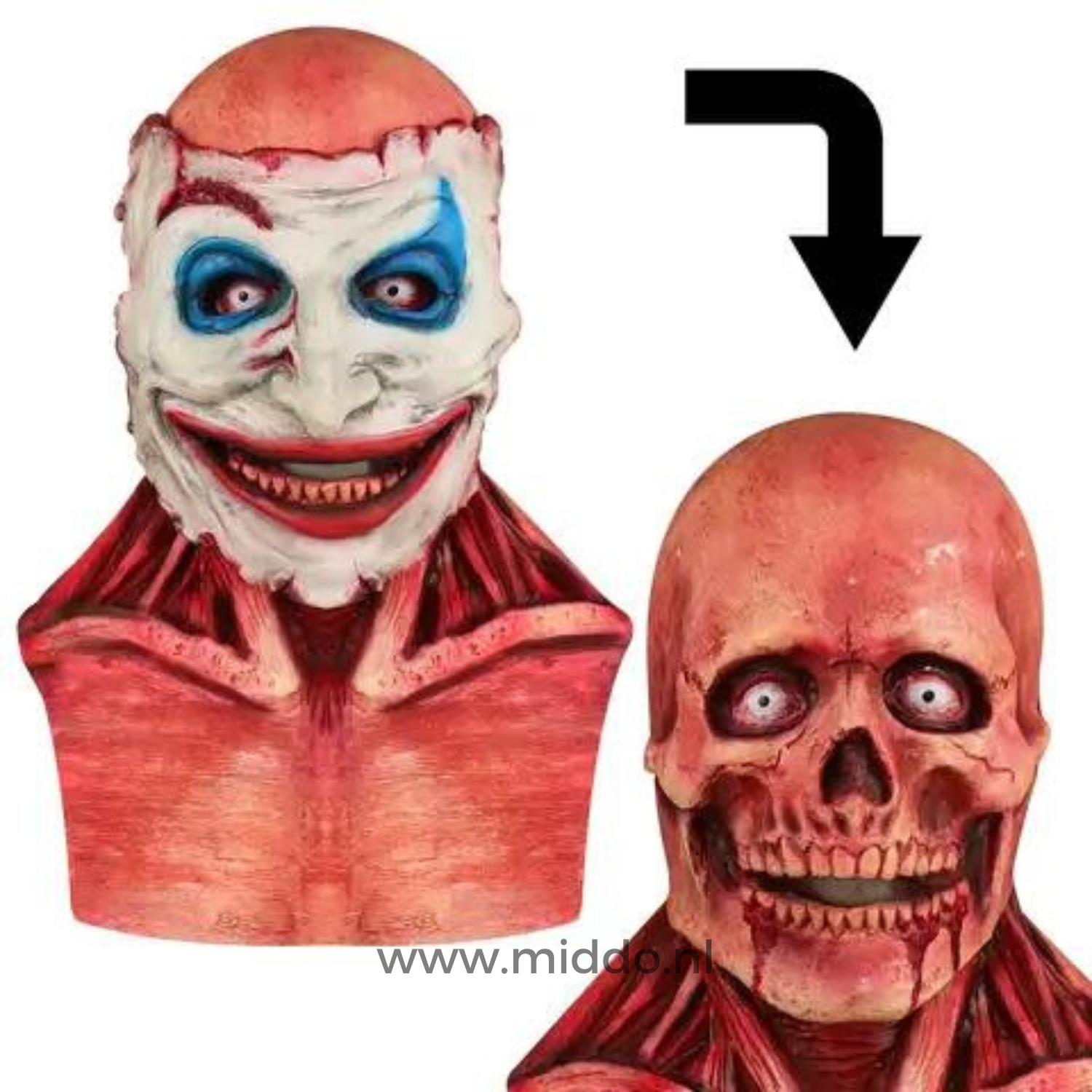 Dubbel gezicht Halloween masker, gezicht verandert van clown naar schedel.