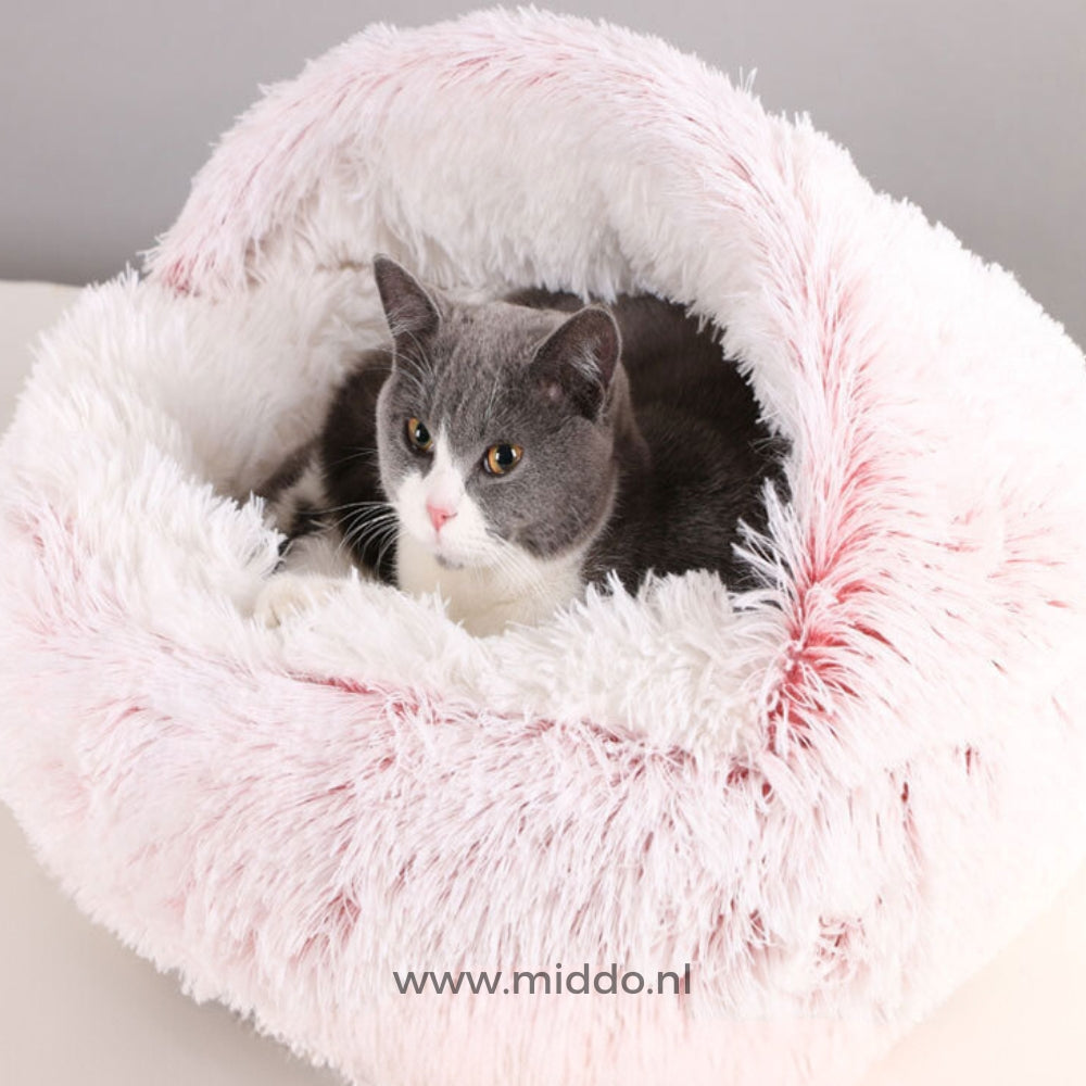 Kat in roze zacht rond huisdierbed SoftSnuggle