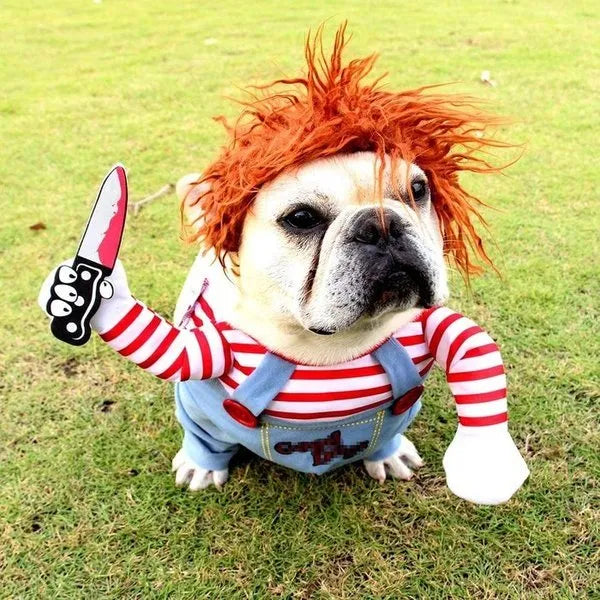 Bulldog in griezelig popkostuum met rood haar en mes