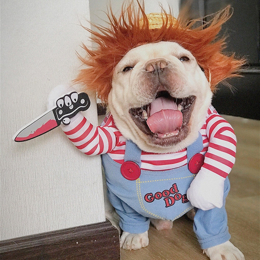Lachende bulldog in griezelig popkostuum met rood haar en mes