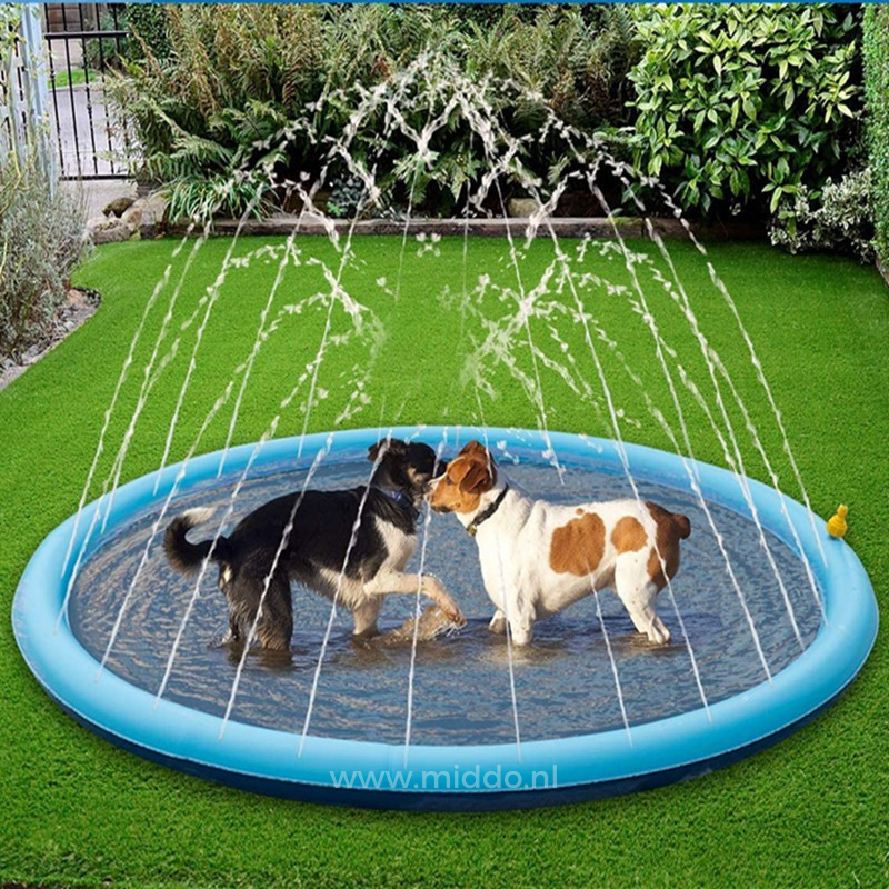 Twee honden spelen op een watermat met spuitende fonteinen.